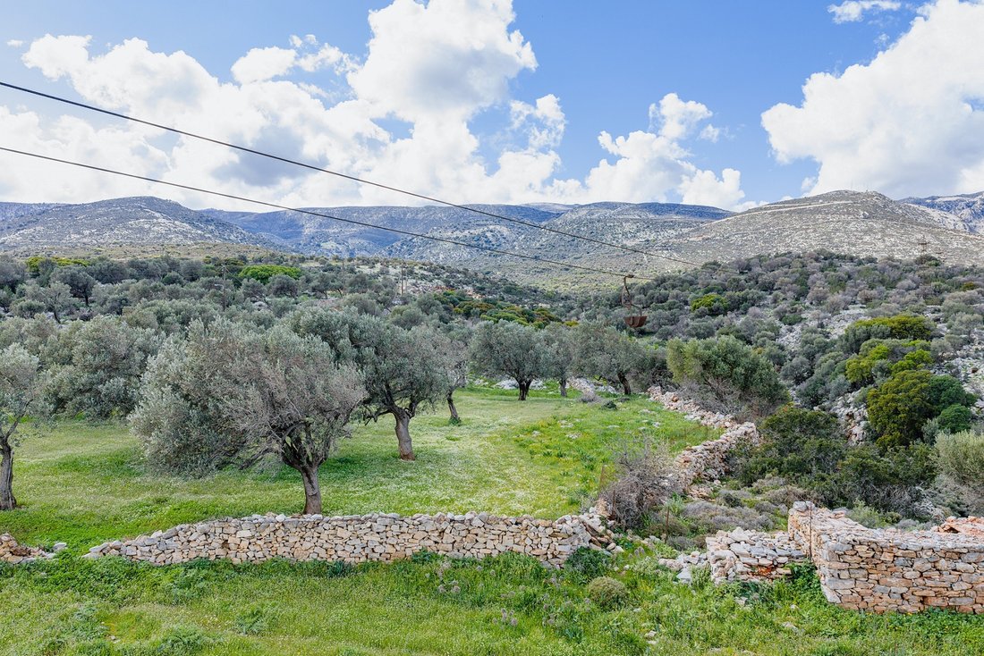 Land in Naxos, Aegean, Greece 5 - 17753083