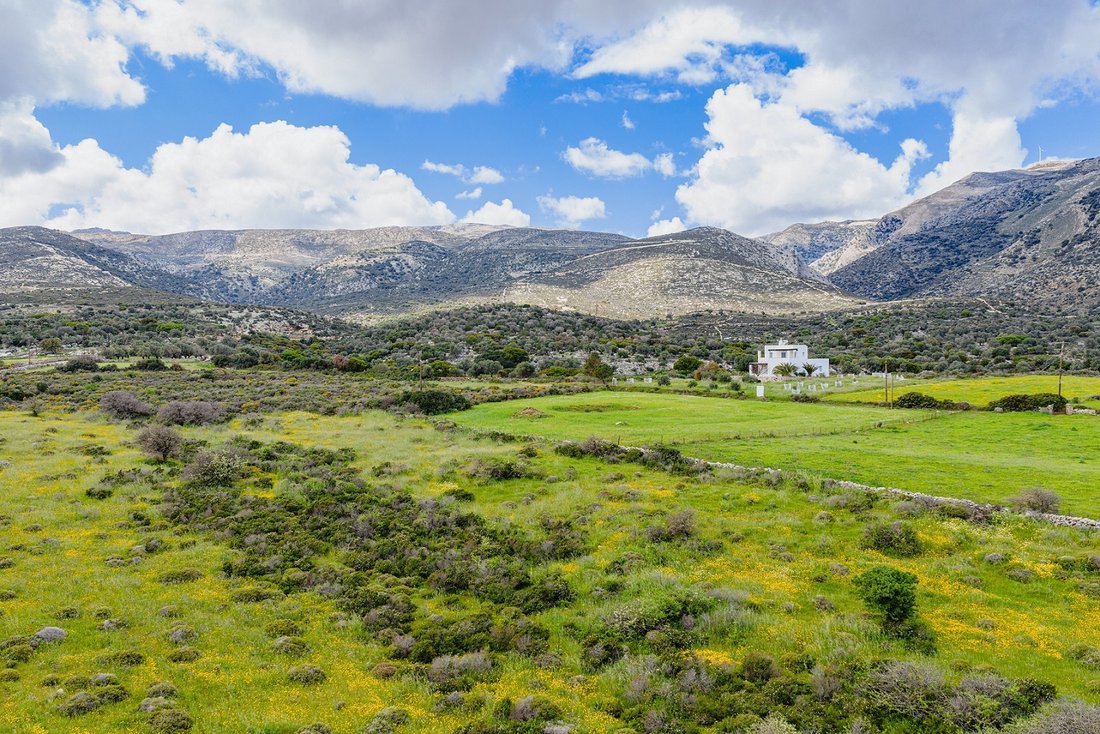 Land in Naxos, Aegean, Griechenland 4 - 17753096