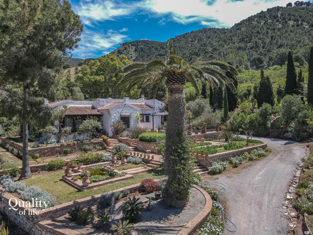 Villa in Motril, Andalusia, Spain 4 - 17752988