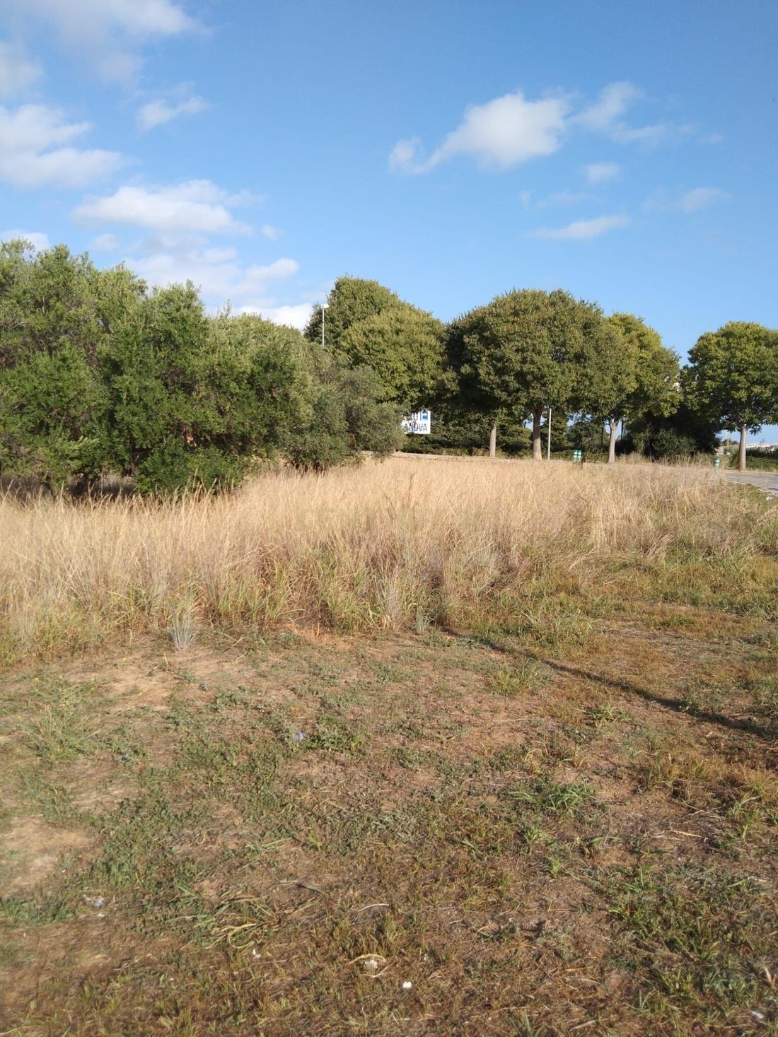 Land in Cubelles, Catalonia, Spain 2 - 17753097
