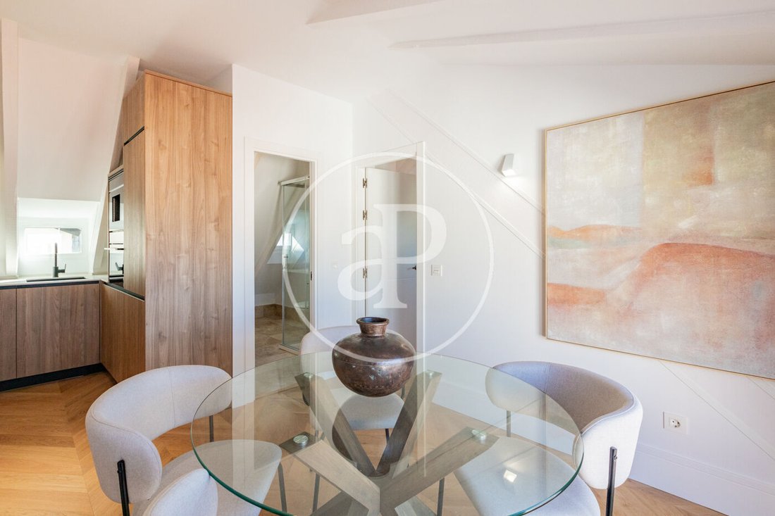 Penthouse in Barrio Salamanca, Madrid, Spain 4 - 17753224
