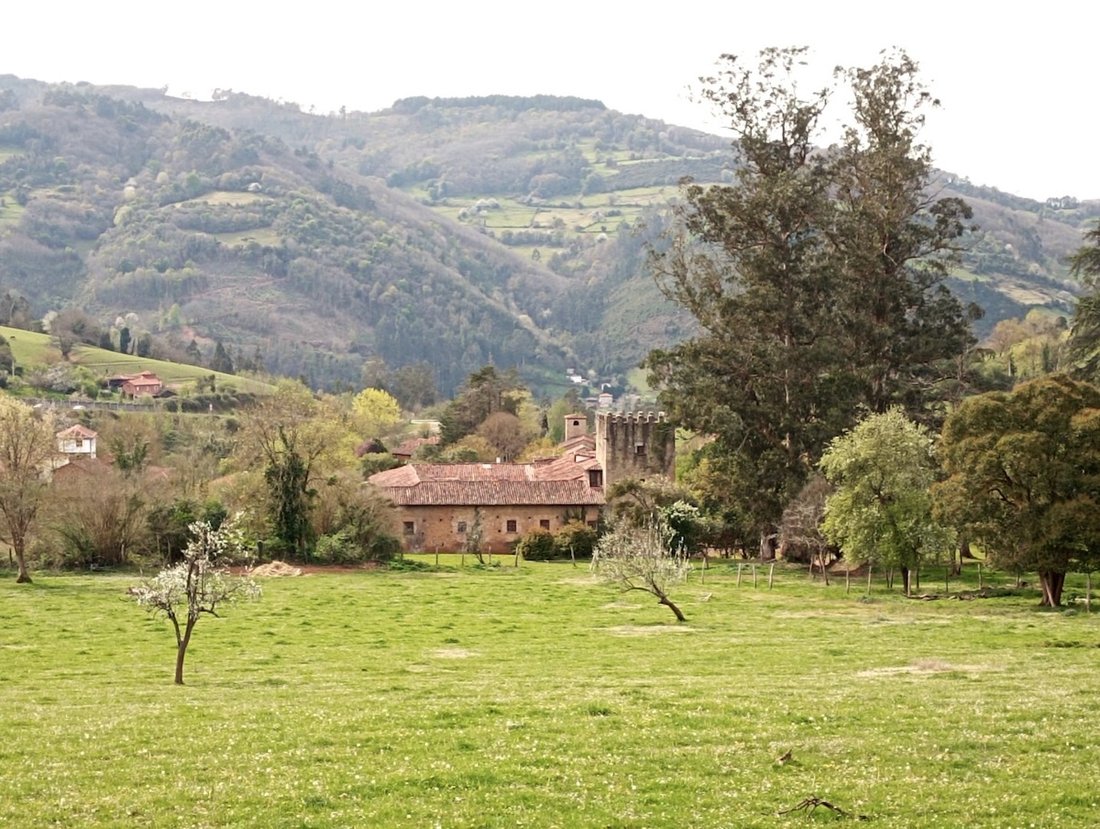Estate in Salas, Asturias, Spain 2 - 17753470