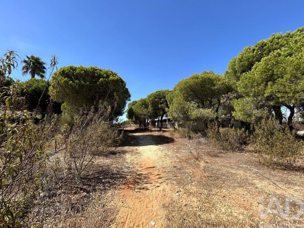 Land in Almancil, Algarve, Portugal 3 - 17753447