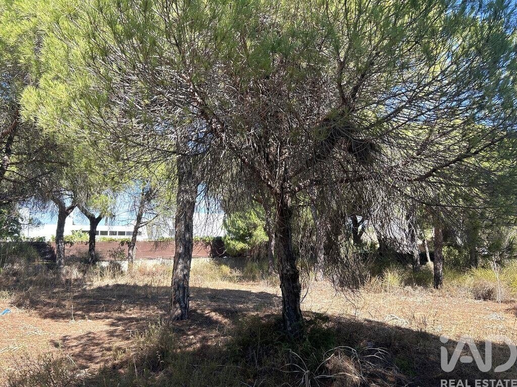Land in Almancil, Algarve, Portugal 2 - 17753447