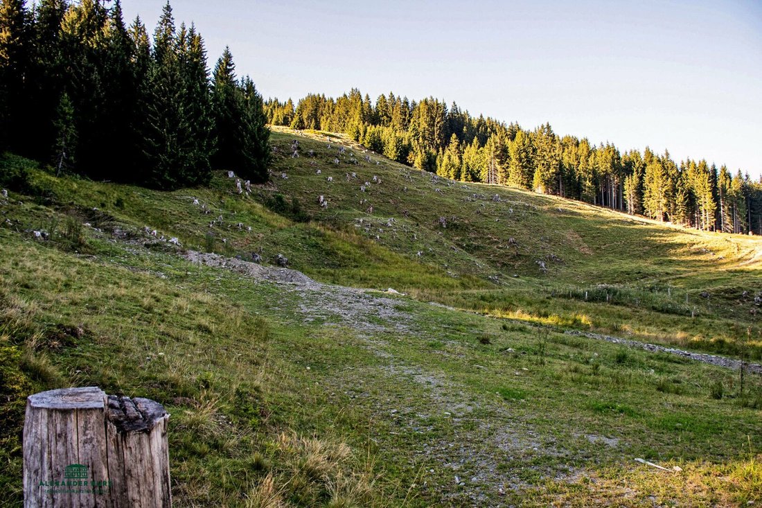 Saalbach-Hinterglemm, Salzburg, Austria 3 - 17753619