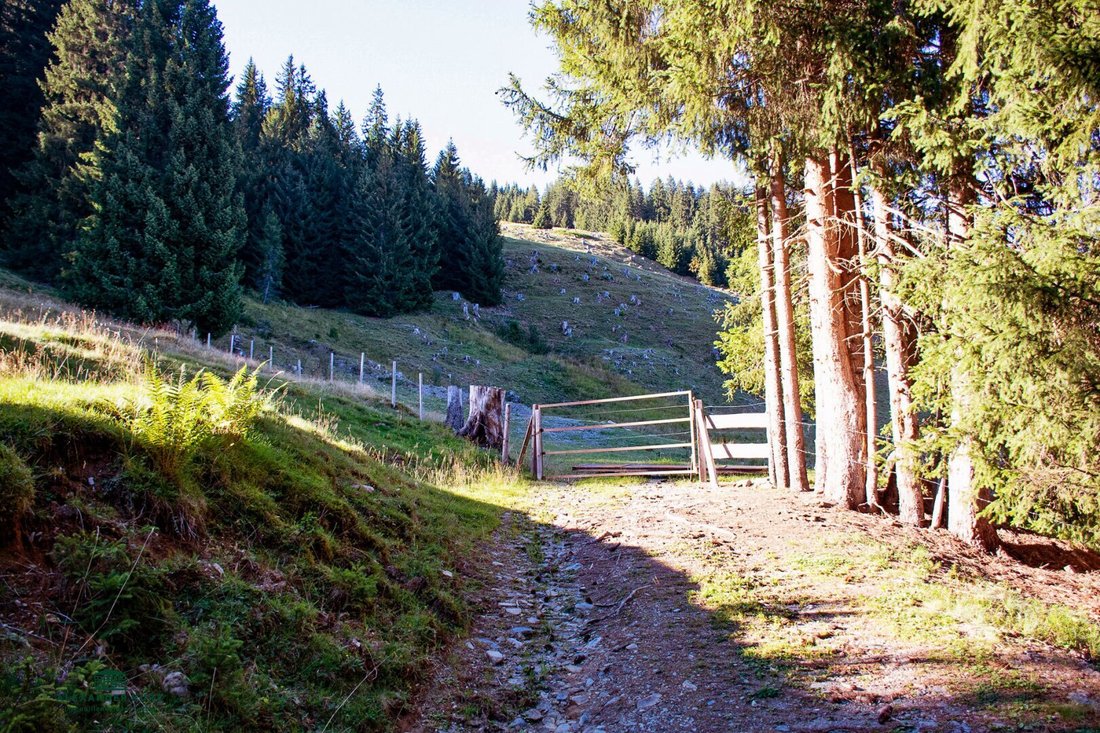Saalbach-Hinterglemm, Salzburg, Austria 4 - 17753619