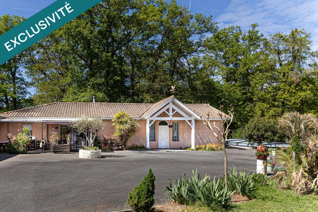 House in Carsac-de-Gurson, Nouvelle-Aquitaine, France 4 - 17754223