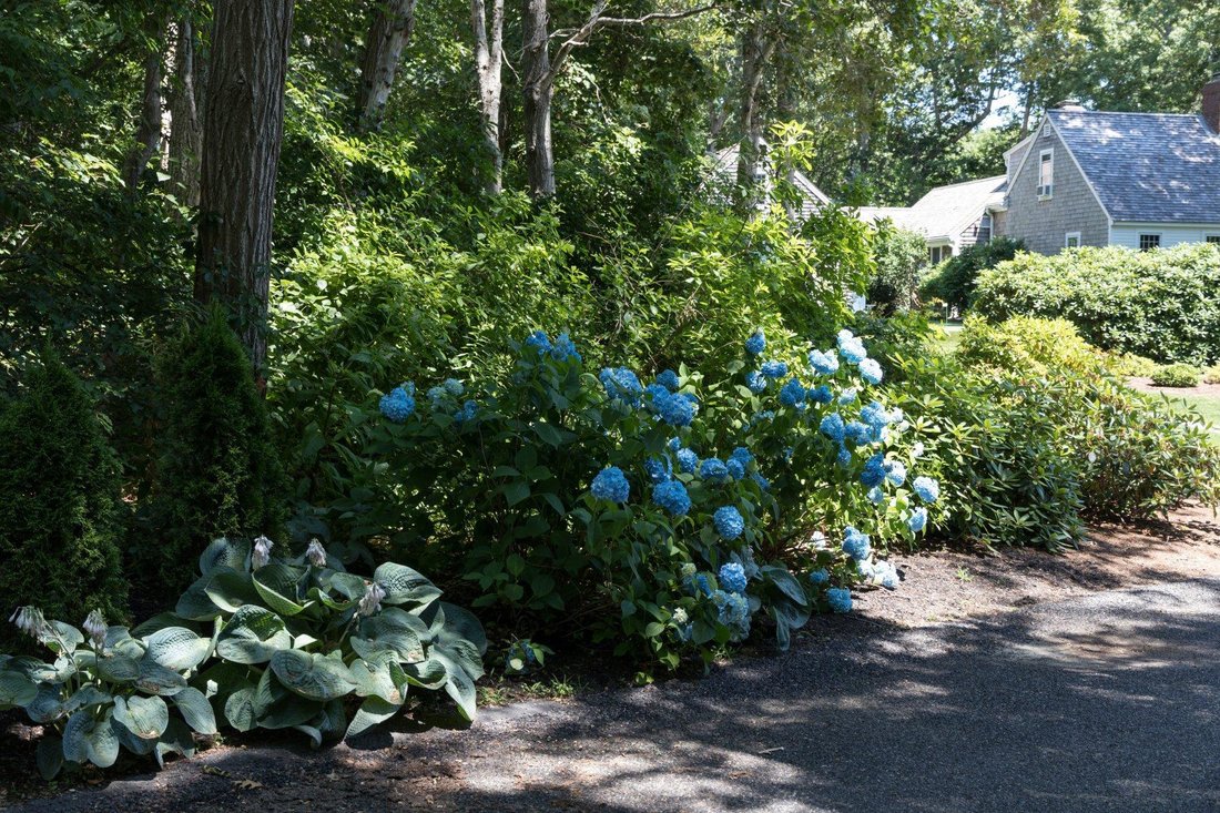 Land in Orleans, Massachusetts, United States 2 - 17754119