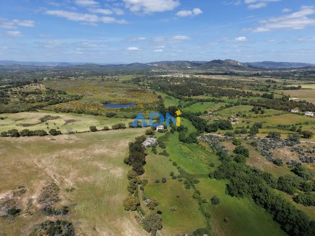 Farm Ranch in Medelim, Castelo Branco District, Portugal 3 - 17547760