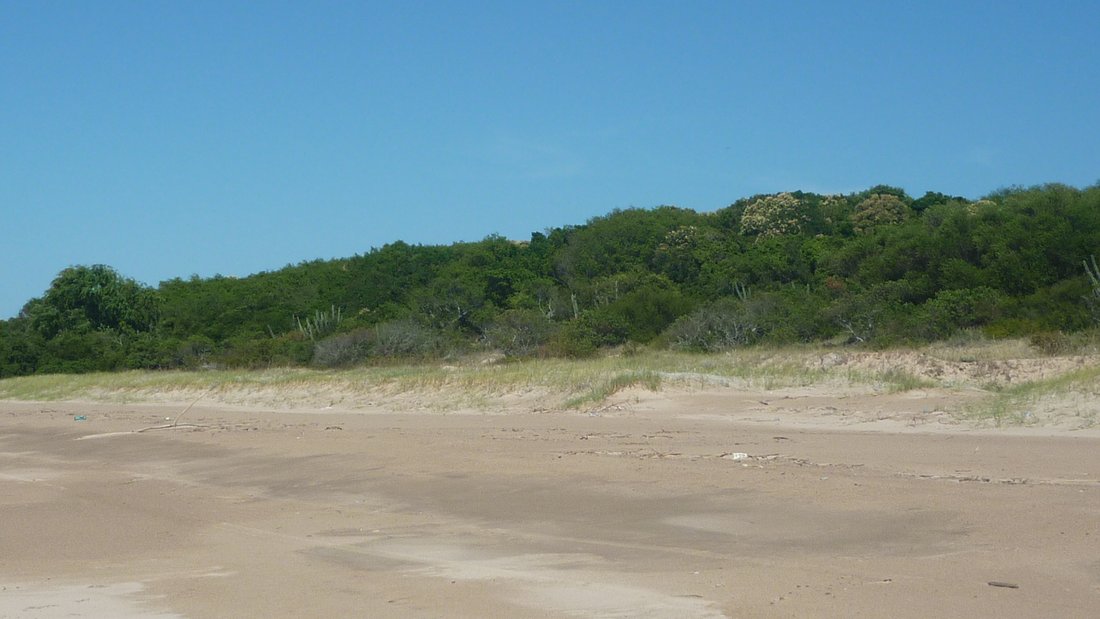 Land in Juan Carlos Caseros, Colonia Department, Uruguay 4 - 17754350