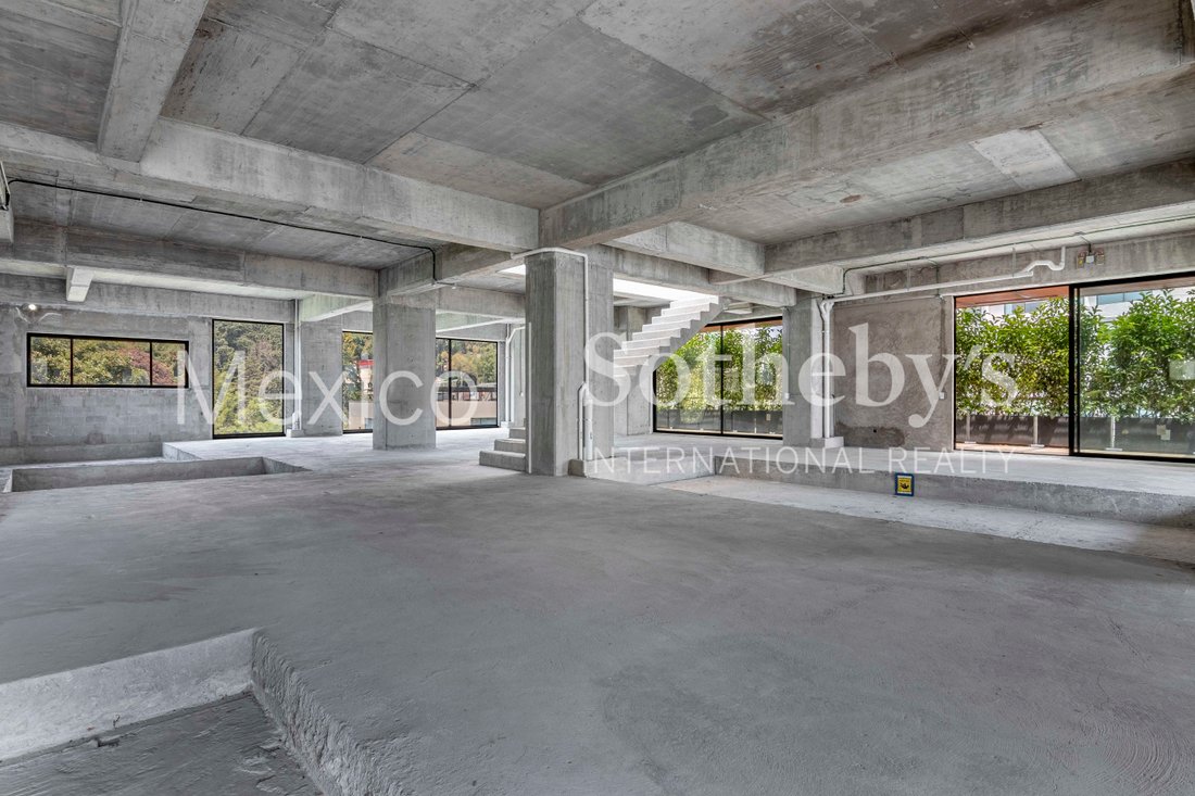 Apartment in Mexico City, Mexico 4 - 17754445