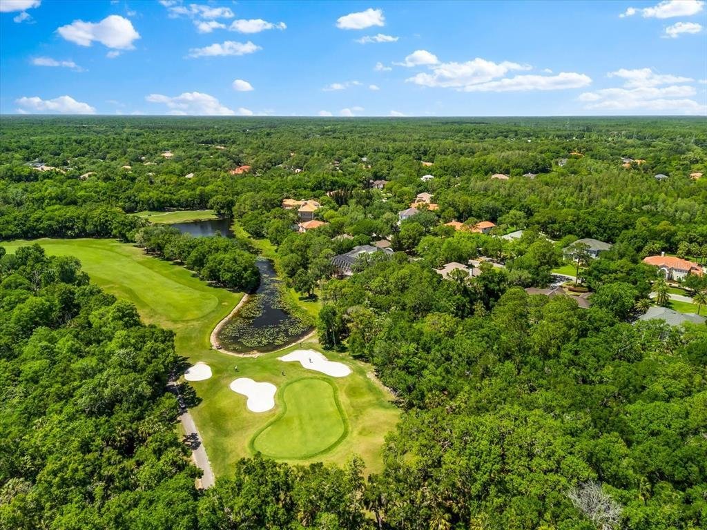 House in Tampa, Florida, United States 3 - 17754425