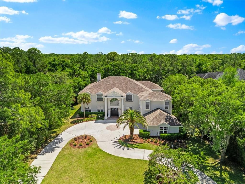 House in Tampa, Florida, United States 2 - 17754425