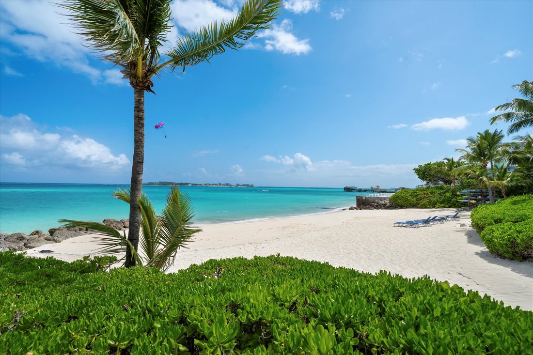 Condo in Nassau, New Providence, The Bahamas 3 - 17744676