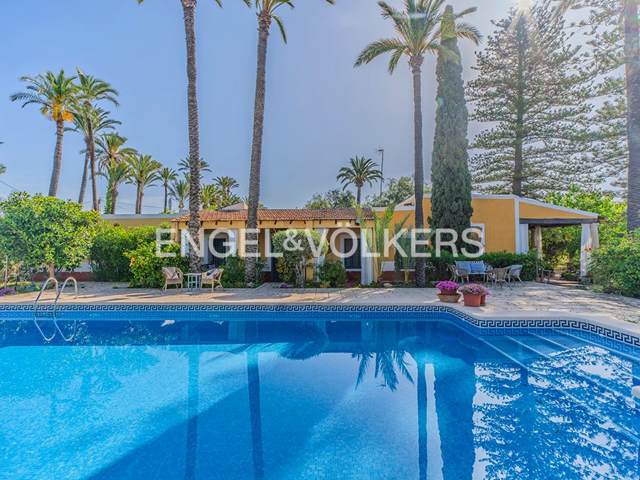 Finca in Elx / Elche, Valencian Community, Spain 5 - 17762720