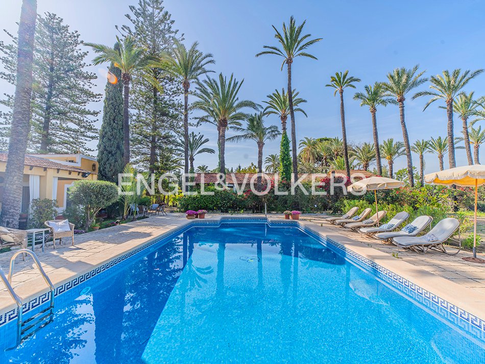Finca in Elx / Elche, Valencian Community, Spain 2 - 17762720