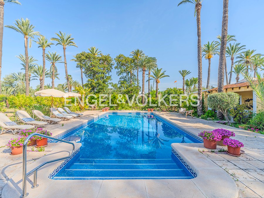 Finca in Elx / Elche, Valencian Community, Spain 1 - 17762720