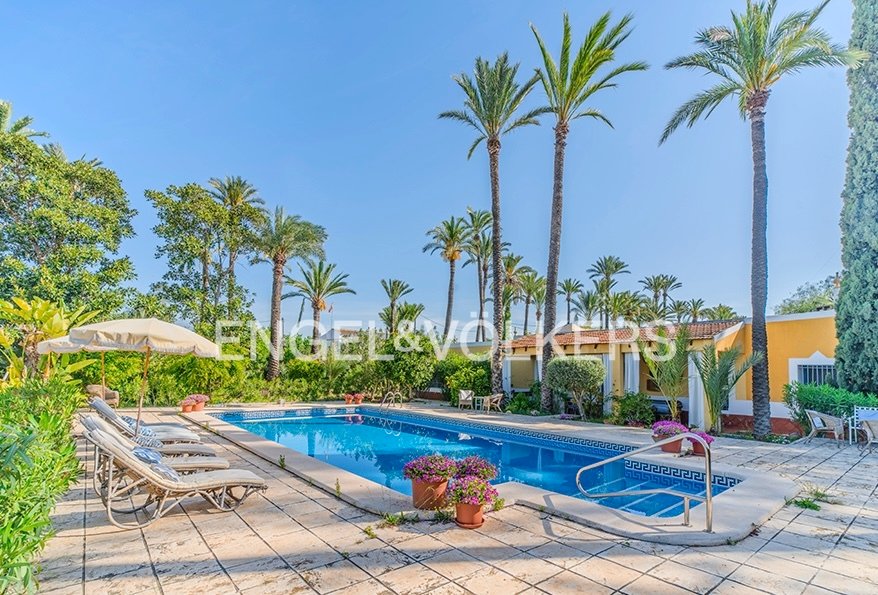 Finca in Elx / Elche, Valencian Community, Spain 3 - 17762720