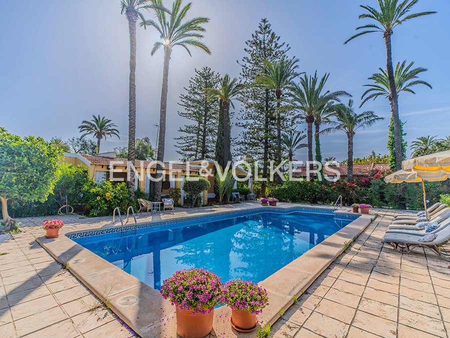 Finca in Elx / Elche, Valencian Community, Spain 4 - 17762720