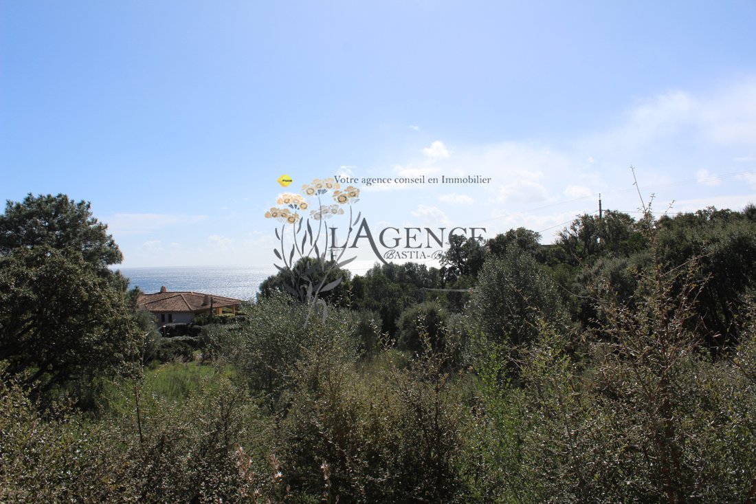 House in Porto-Vecchio, Corsica, France 1 - 16297169