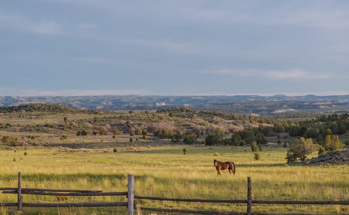 House in Orderville, Utah, United States 1