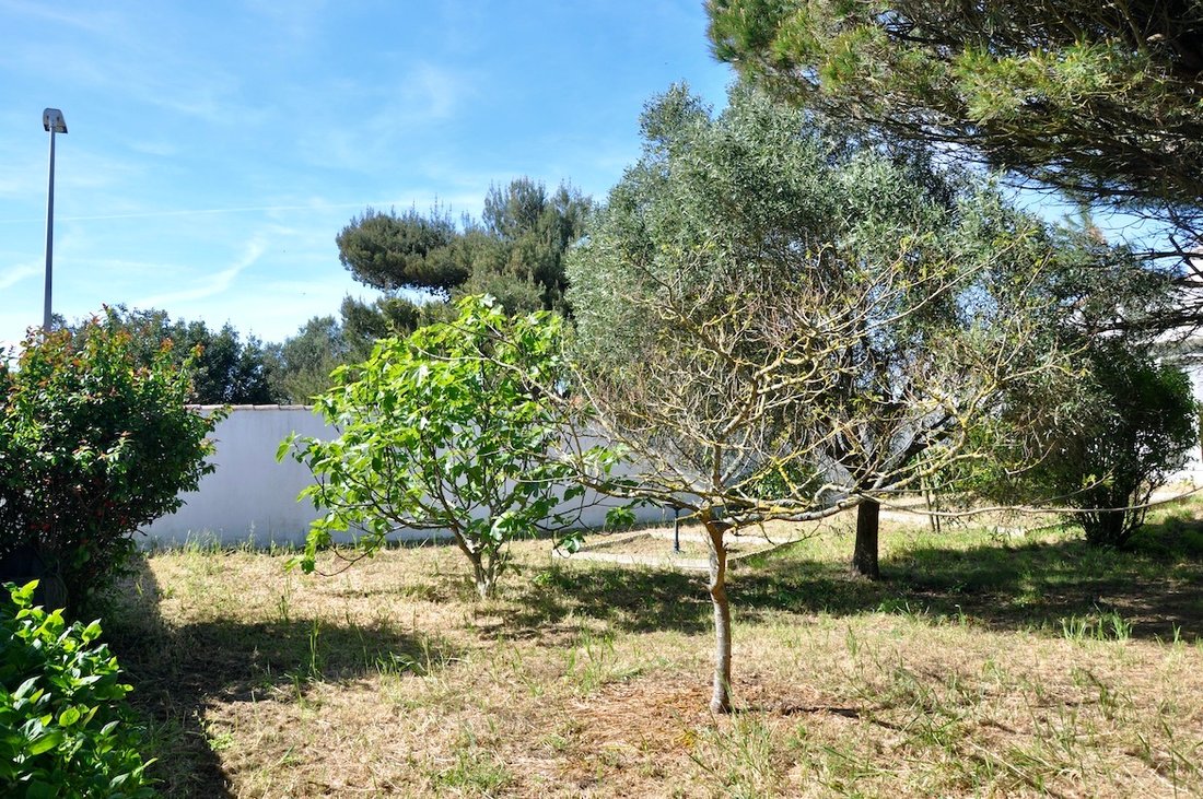 House in Sainte-Marie-de-Ré, Nouvelle-Aquitaine, France 3 - 17756023