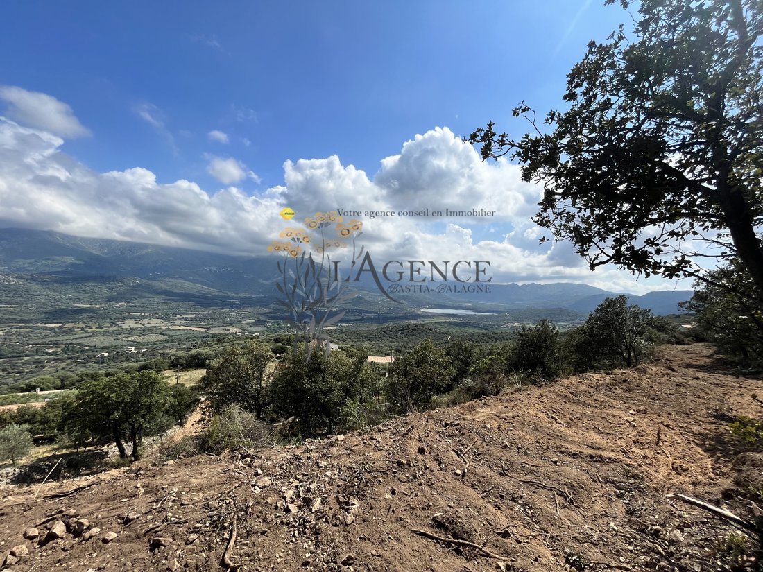 Terreno a Monticello, Corsica, Francia 1 - 16297299