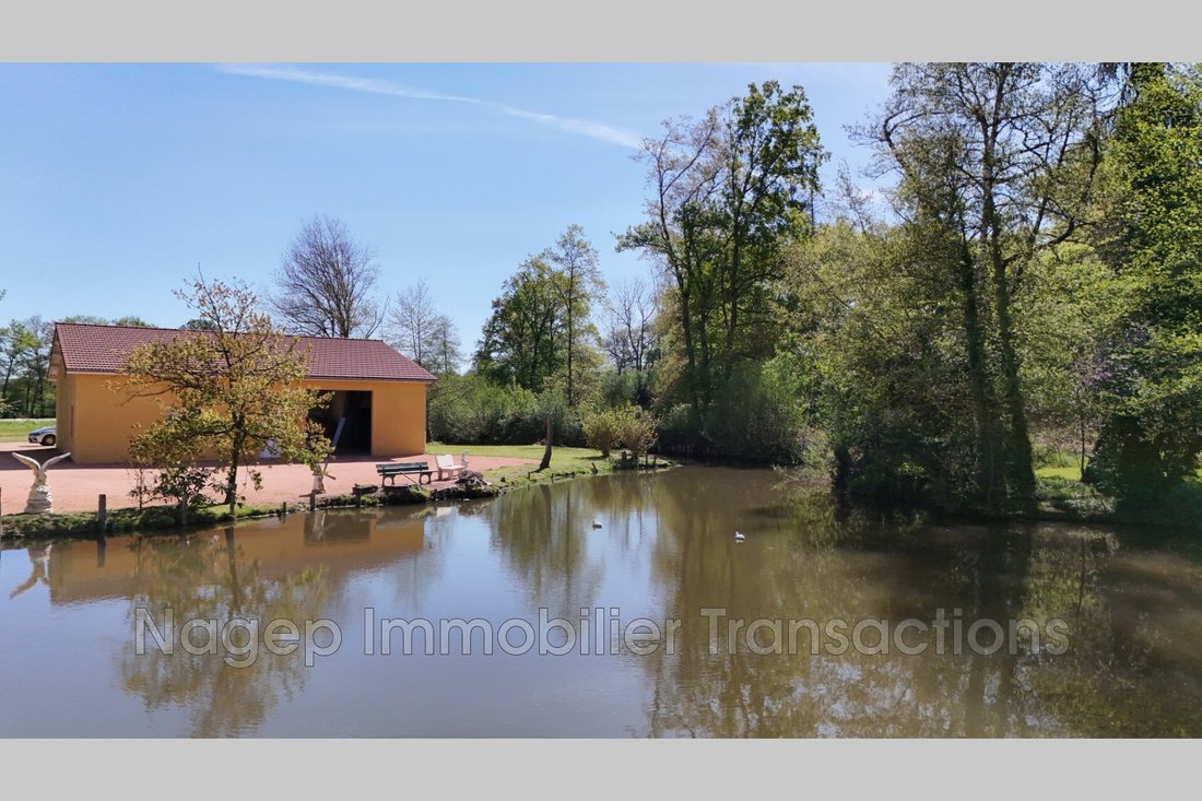 Villa in Marche, Vichy, France 3 - 17629451