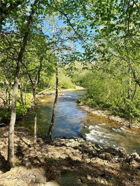 Farm Ranch in Potosi, Missouri, United States 4 - 15366344