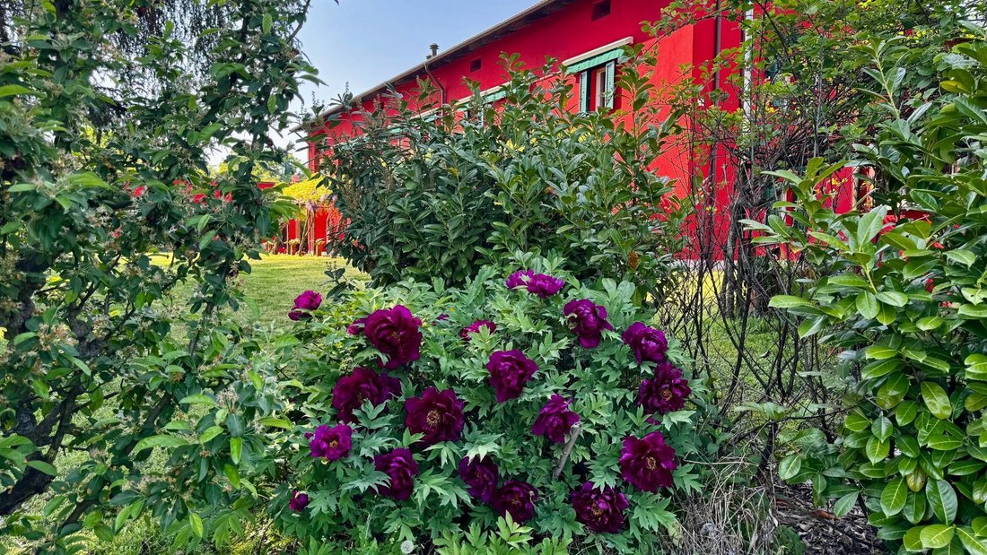 House in Nizza Monferrato, Piedmont, Italy 1 - 16970939
