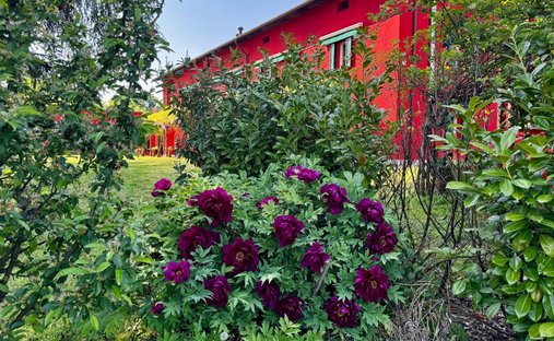 House in Nizza Monferrato, Piedmont, Italy 1