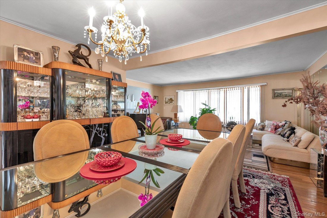 House in Massapequa, New York, United States 5 - 17756393
