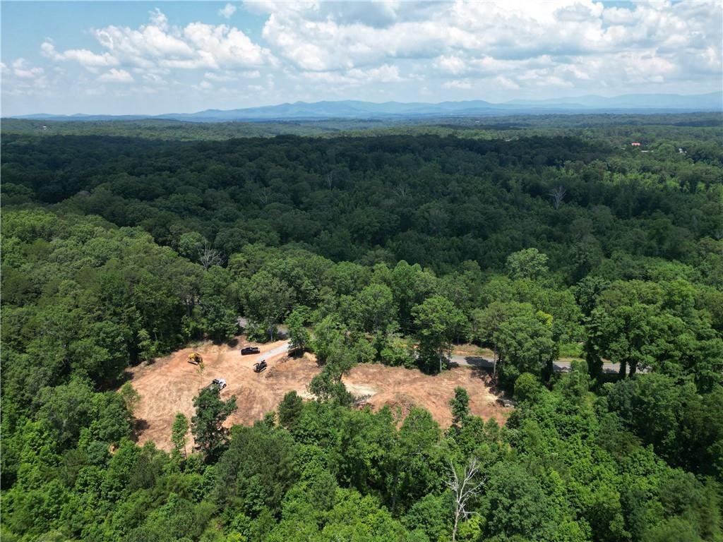House in Ellijay, Georgia, United States 2 - 17758740
