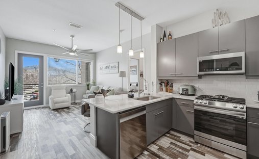 Appartement à Chattanooga, Tennessee, États-Unis 1
