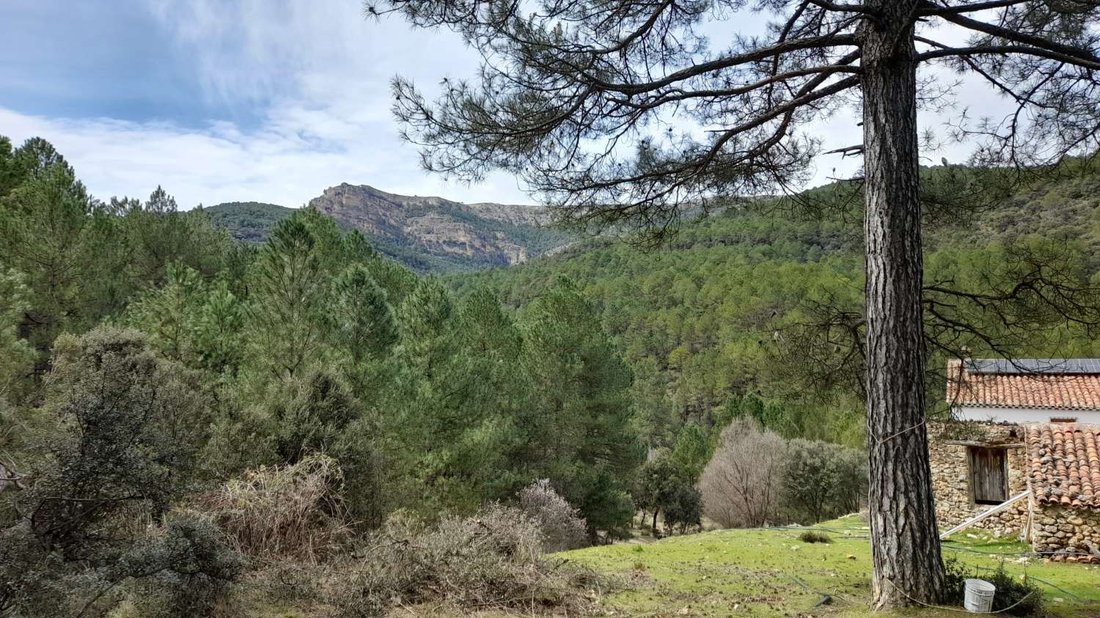 Finca in Santiago-Pontones, Andalusia, Spain 4 - 17759569