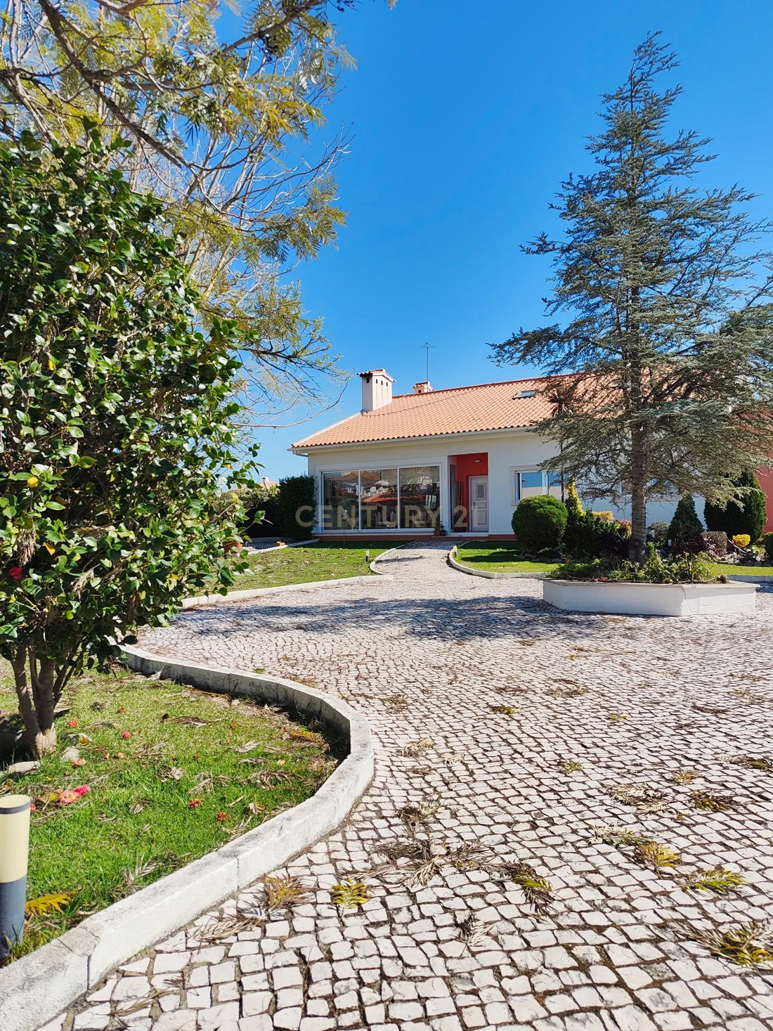 Villa in Azeitao (Sao Lourenco e Sao Simao), Setubal, Portugal 4 - 17762765