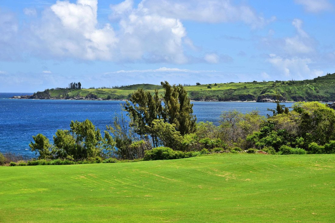 Maison à Lahaina, Hawaï, États-Unis 2 - 17760479