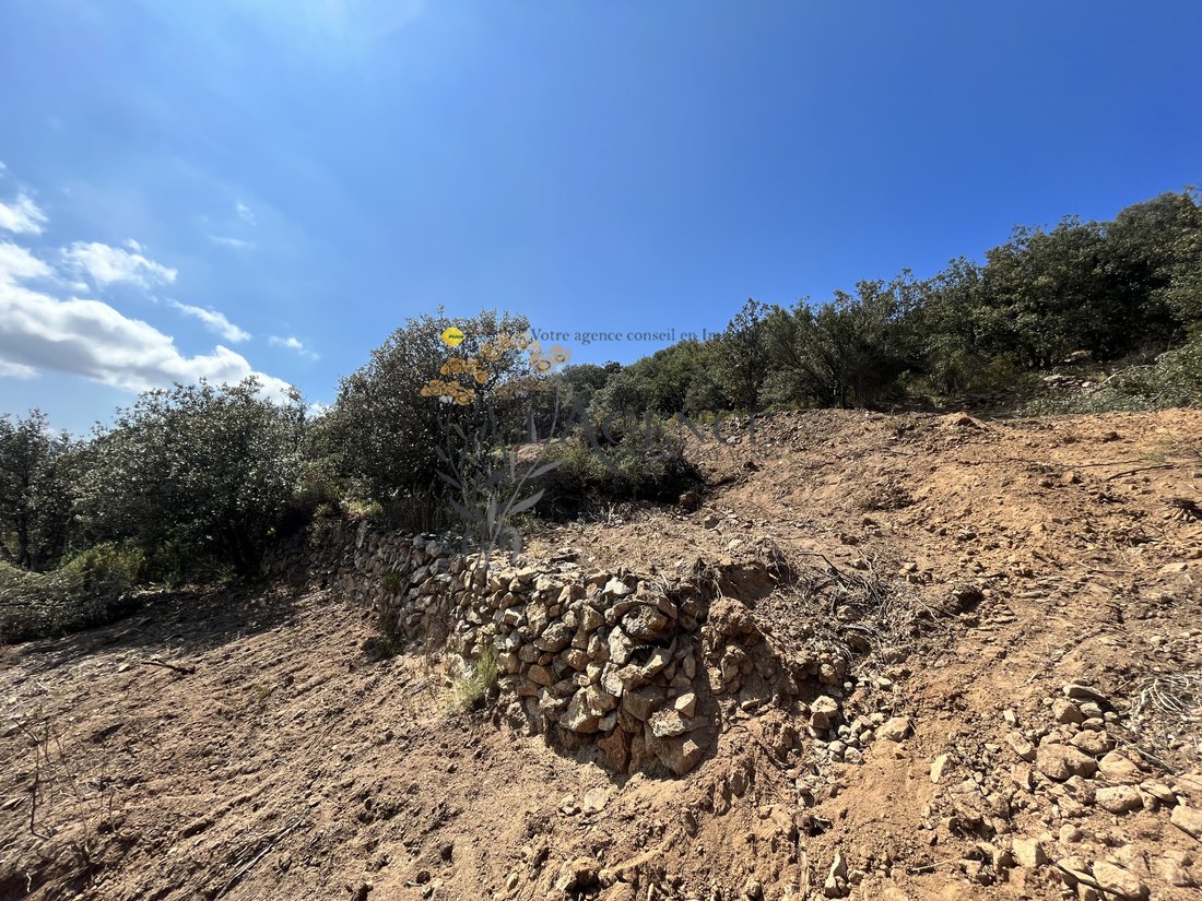 Terreno a Monticello, Corsica, Francia 2 - 16297299