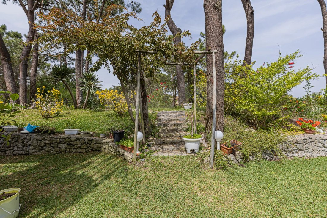 Villa in Carvalhal, Setubal, Portugal 5 - 17728037