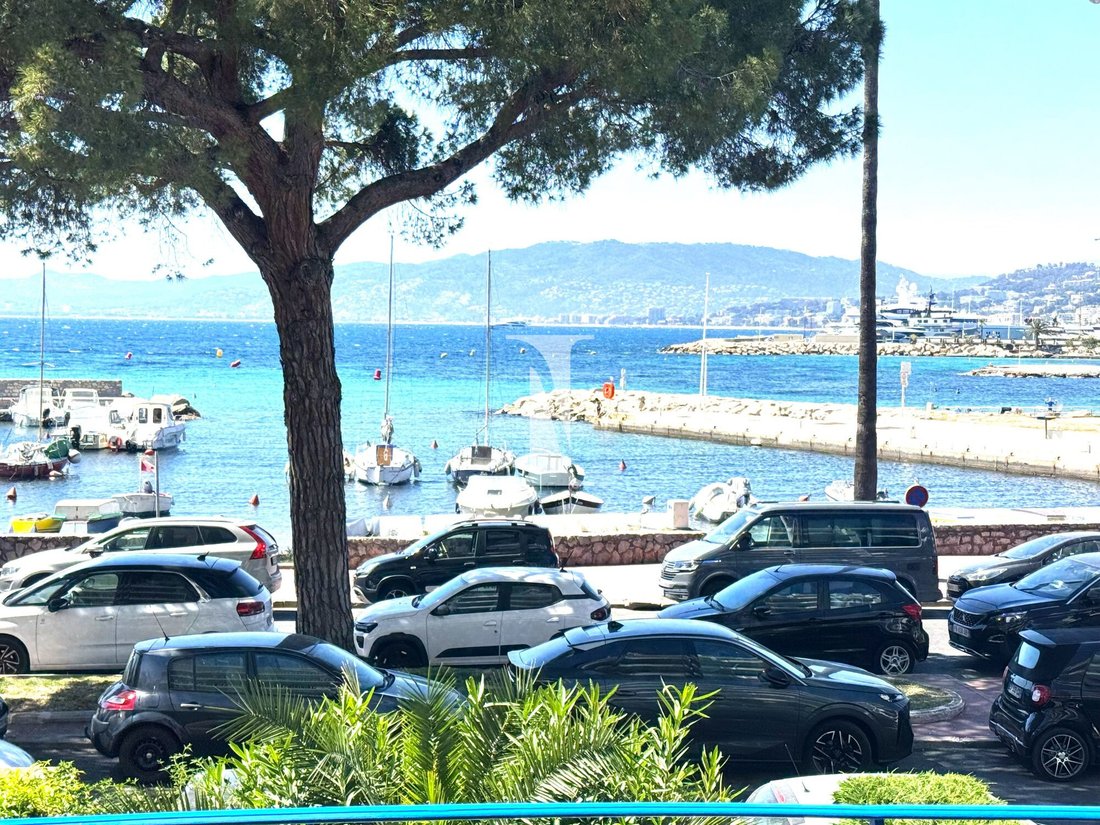 Apartment in Cannes, Provence-Alpes-Côte d'Azur, France 1 - 17072476