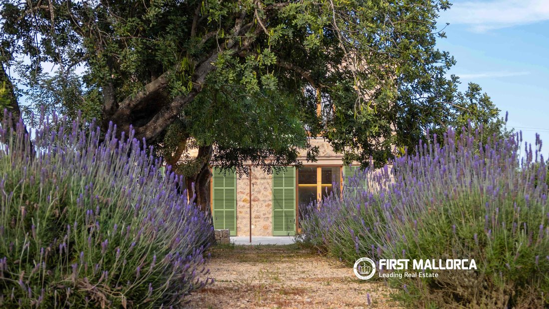 Country House in Alaro, Balearic Islands, Spain 3 - 17760284