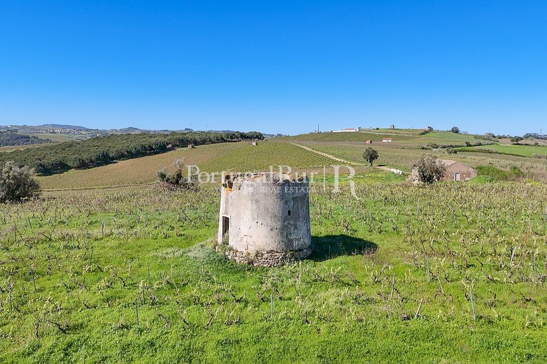Finca in Pereiro de Palhacana, Lisbon, Portugal 5 - 17756933