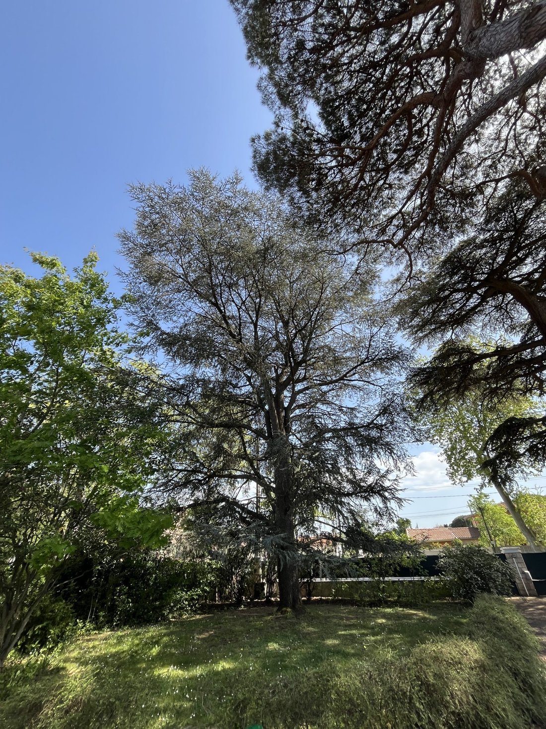 House in Mirail-Reynerie-Bellefontaine, Toulouse, France 1 - 17761489