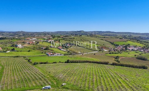 Finca a Pereiro de Palhacana, Lisbona, Portogallo 1