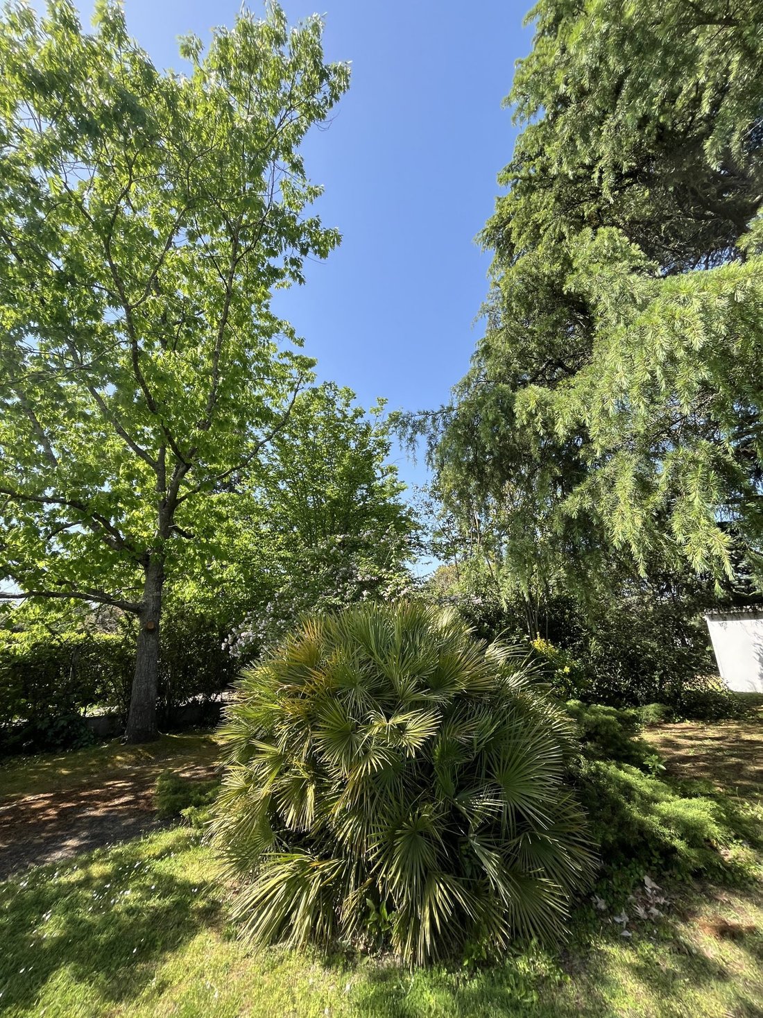 House in Mirail-Reynerie-Bellefontaine, Toulouse, France 4 - 17761489