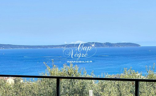Estate in Le Lavandou, Provence-Alpes-Côte d'Azur, France 1