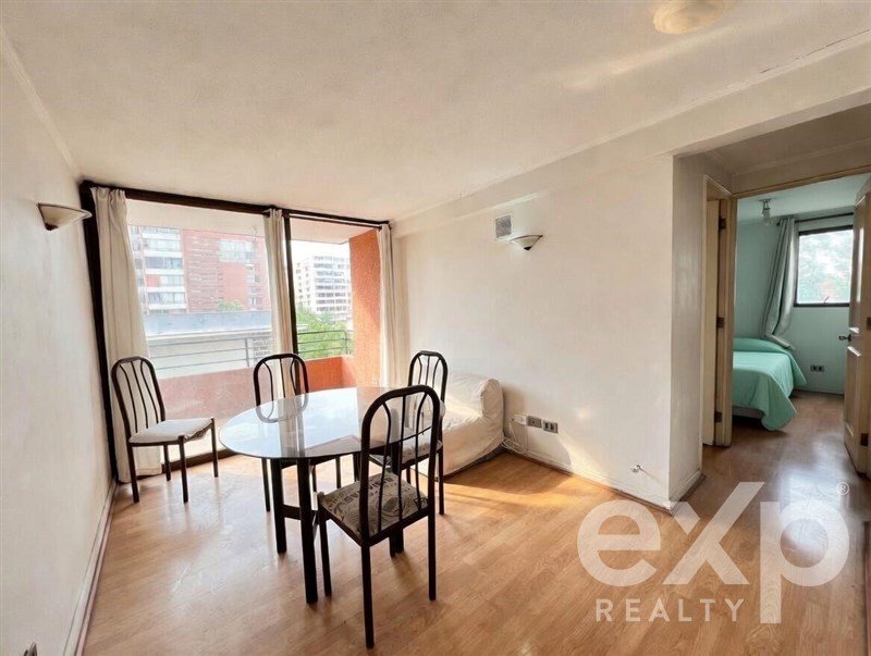 Apartment in Providencia, Santiago Metropolitan Region, Chile 3 - 16086702