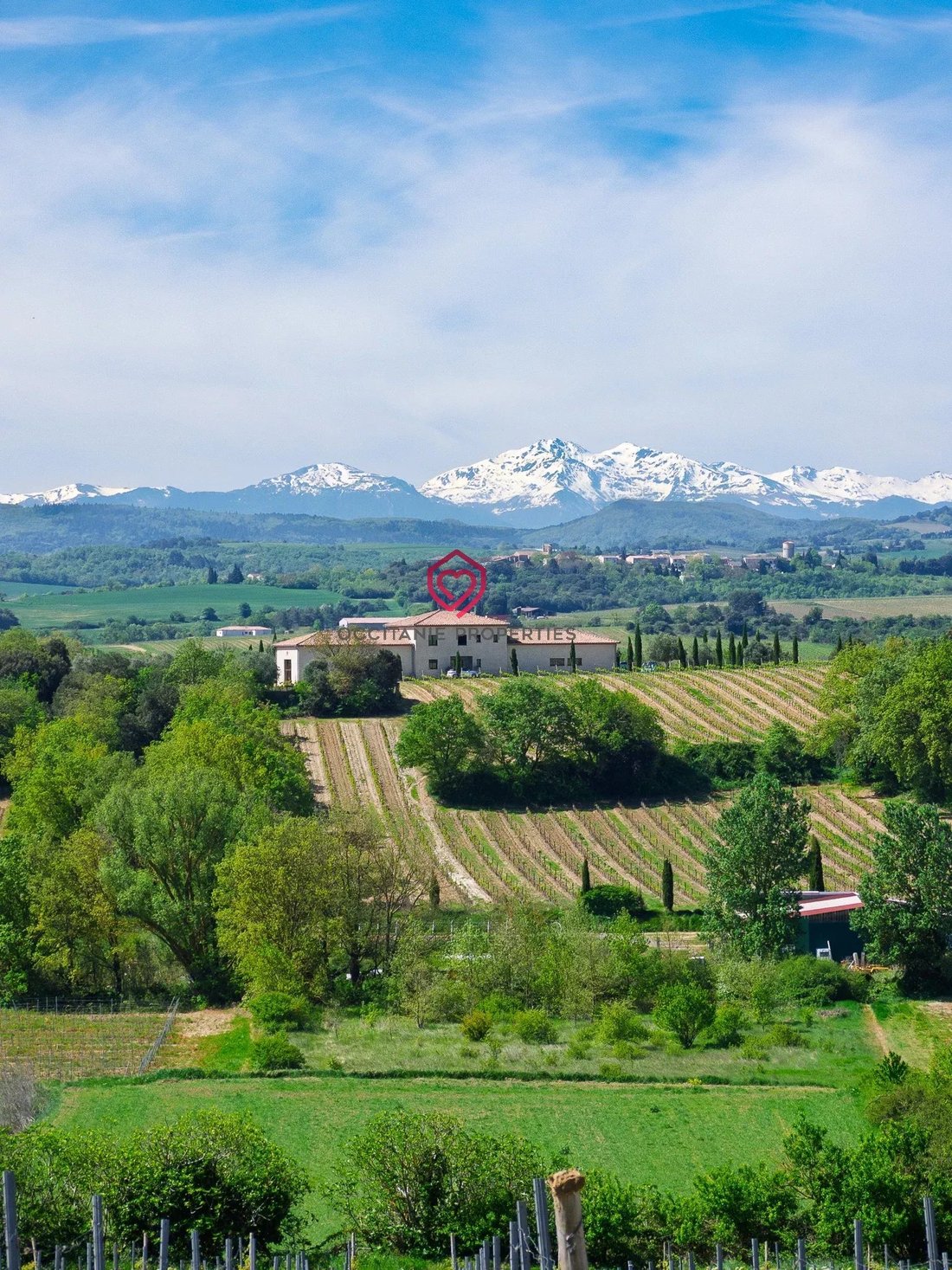 Farm Ranch in Petite Ville, Limoux, France 1 - 17352848