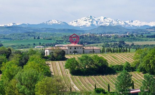 Azienda agricola a Petite Ville, Limoux, Francia 1