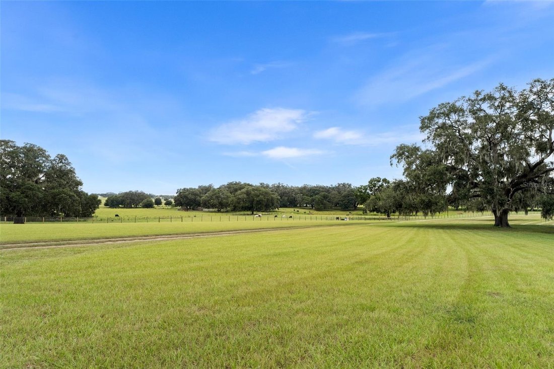 House in Morriston, Florida, United States 5 - 17185816